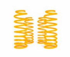 XGS COIL SPRINGS FRONT RAISED <110LBS PAIR 770FR21T Coil Spring 225  Springs